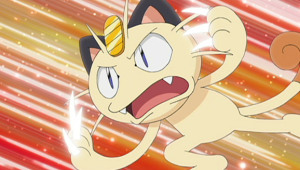 Mestre Pokémon on X: O Torterra existe na vida real O-O quem